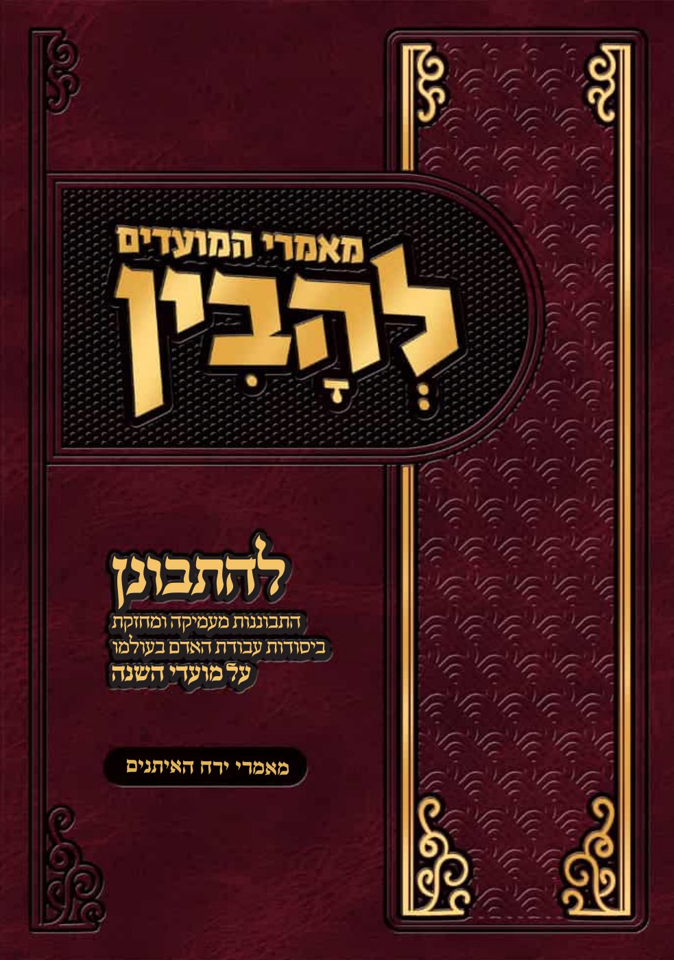 העמוד הראשון של להתבונן - להבין
