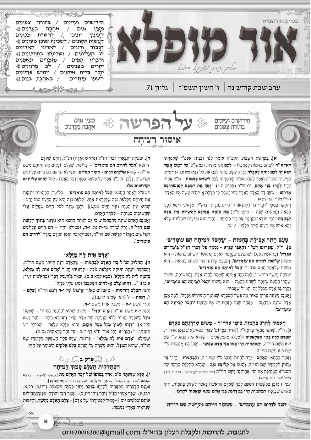 העמוד הראשון של אור מופלא