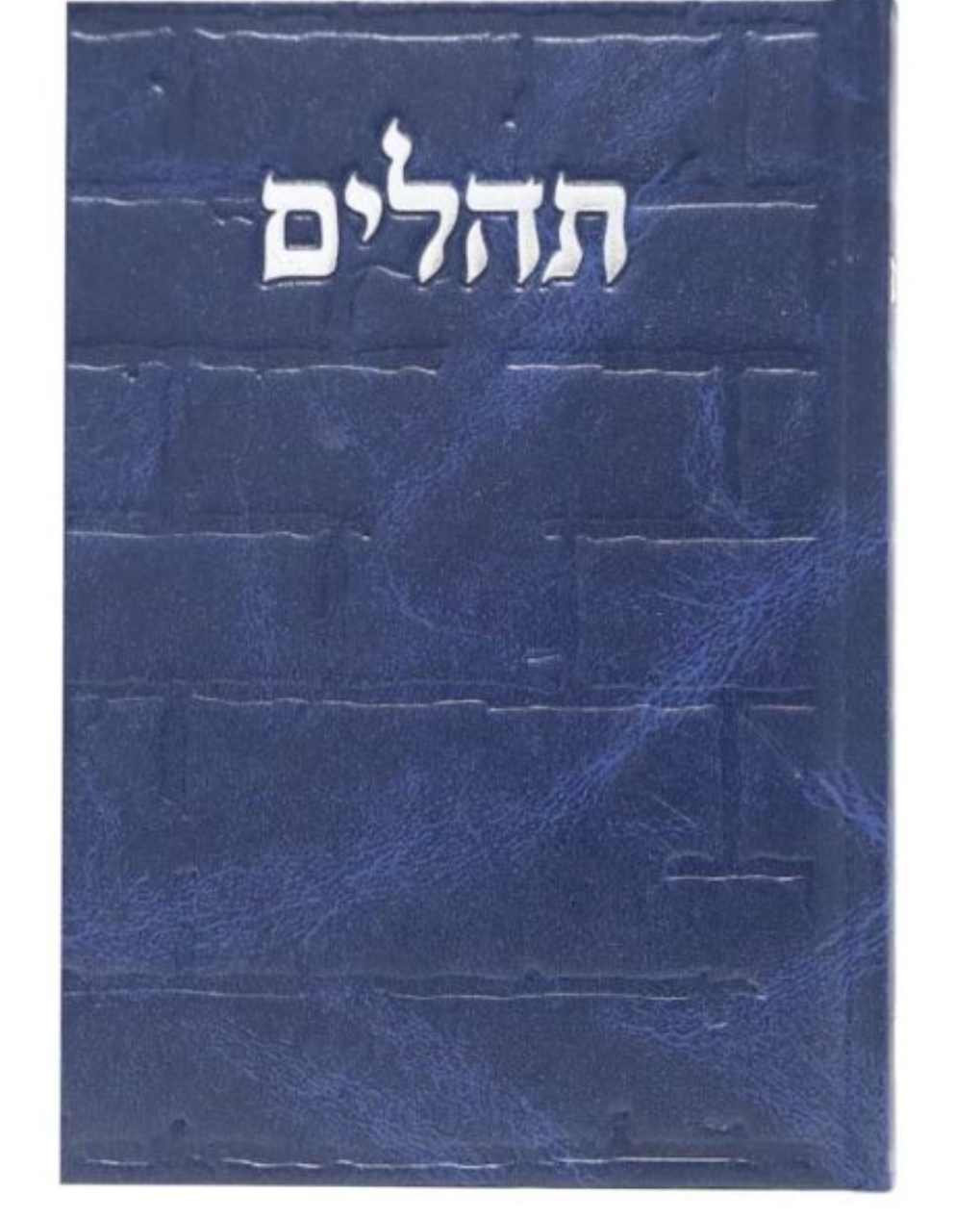 תהלים סקאי בינת הלב כותל - כחול
