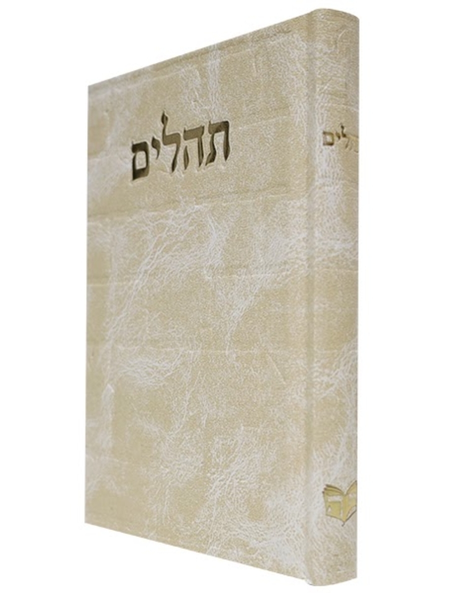 תהלים סקאי בינת הלב כותל - קרם