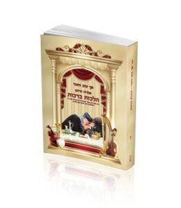 הדמיה הלכות ברכות כיס 2