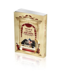 הדמיה הלכות שבת כיס 2