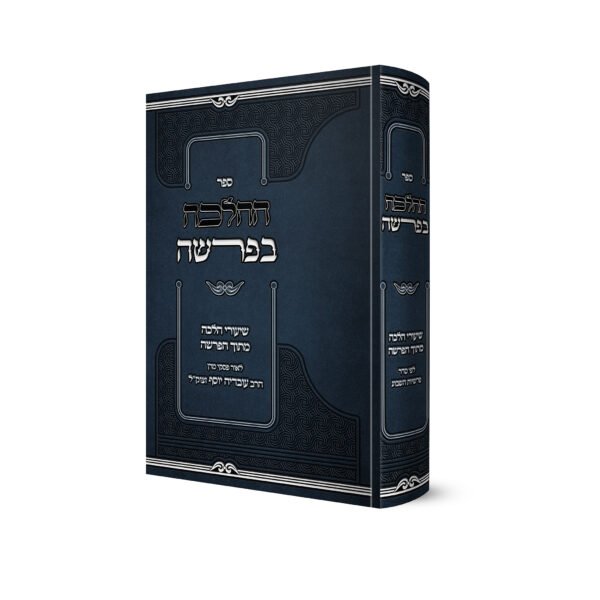ספר ההלכה בפרשה הדמיה